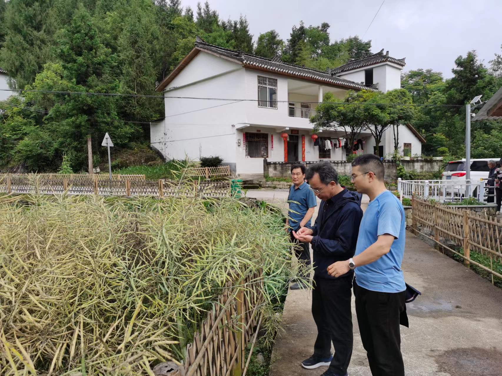 微信图片_20220601083428.jpg