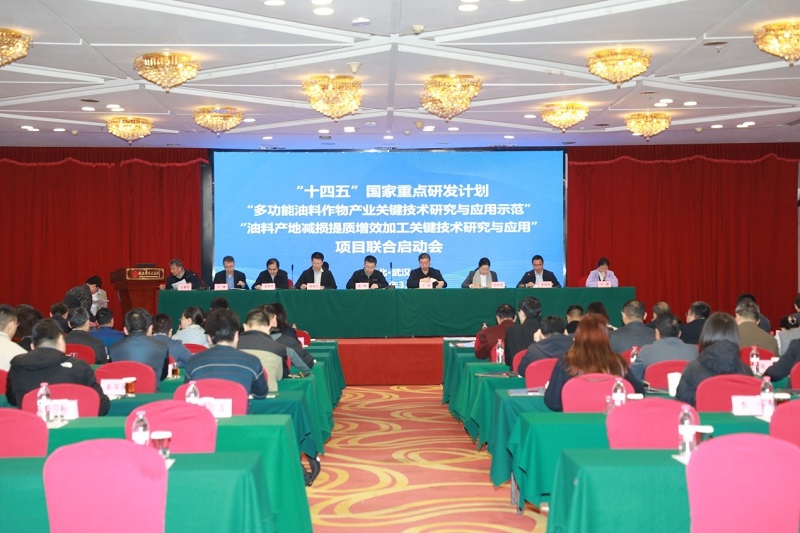 项目启动1.jpg