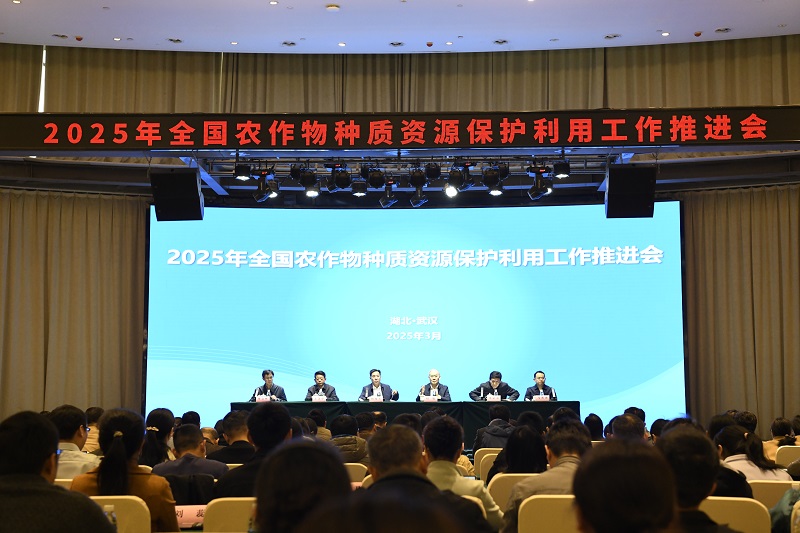 许.jpg