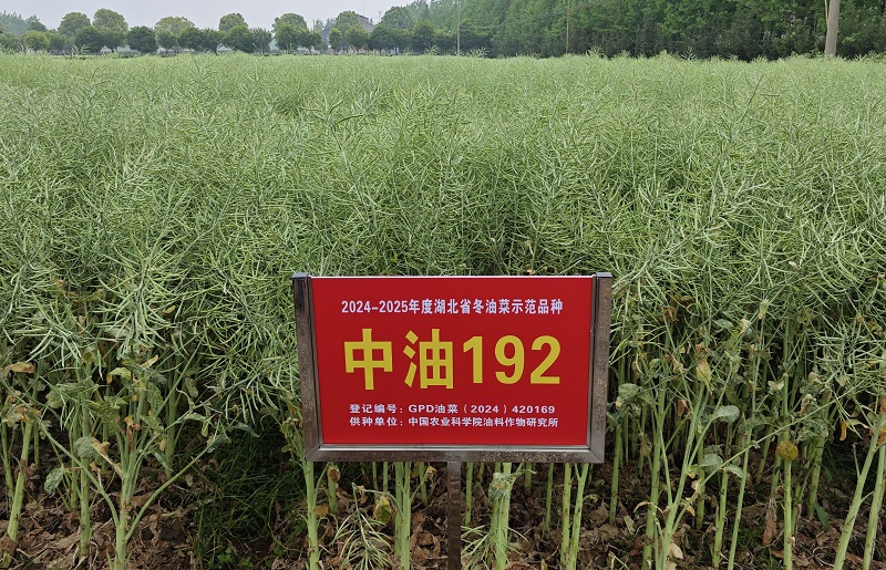 192.jpg