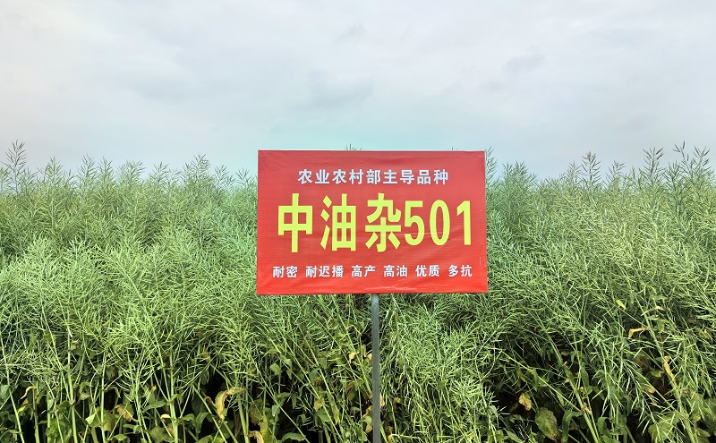 501.jpg